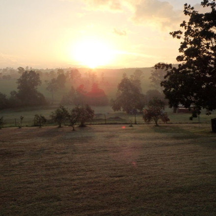 sunrise reduced