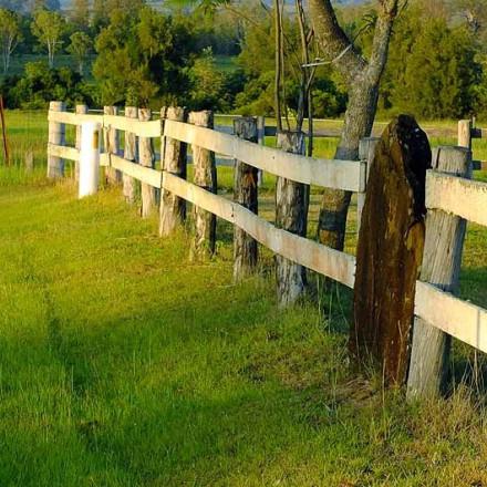 wooden fence